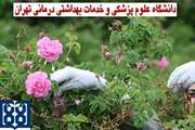 اطلاعیه فراخوان استخدام عضو هیات علمی پیمانی در دانشگاه علوم پزشکی تهران
